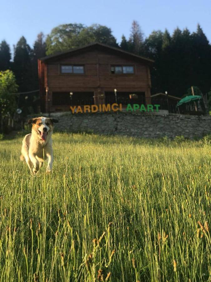 Ayder Yardimci Apart 外观 照片